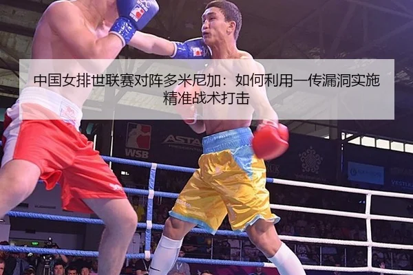 zhong-guo-nv-pai-shi-lian-sai-dui-zhen-duo-mi-ni-jia-ru-he-li-yong-yi-chuan-lou-dong-shi-shi-jing-zhun-zhan-shu-da-ji-2-220.jpg