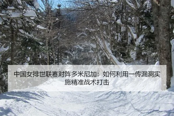 中国女排世联赛对阵多米尼加：如何利用一传漏洞实施精准战术打击